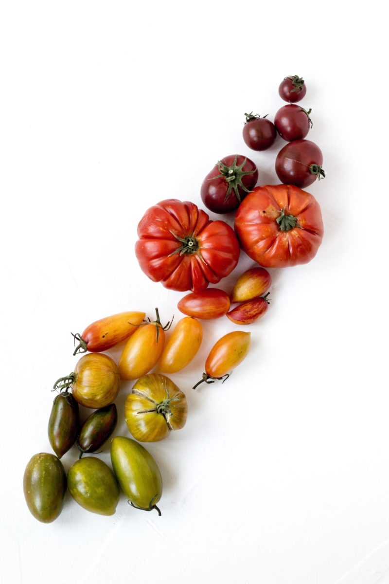 Comment faire pousser des tomates dans le jardin : le guide simple et complet