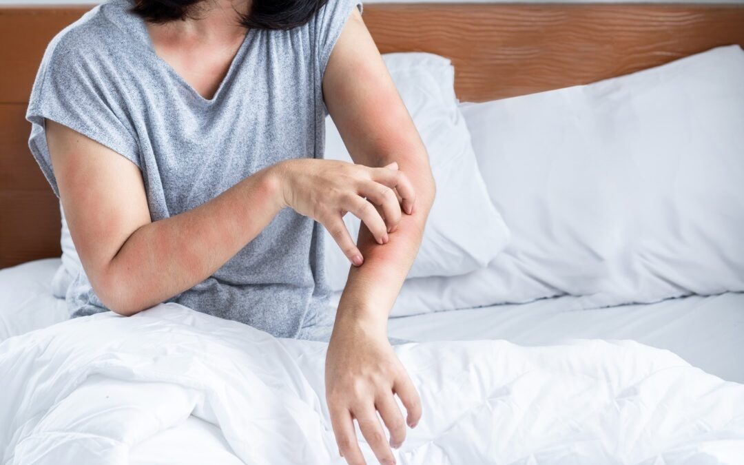 Quels sont les différents types de traitements des punaises de lit ?