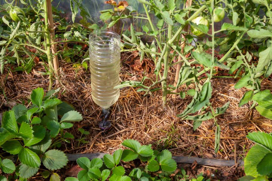Système d'irrigation goutte-à-goutte avec des bouteilles en plastique