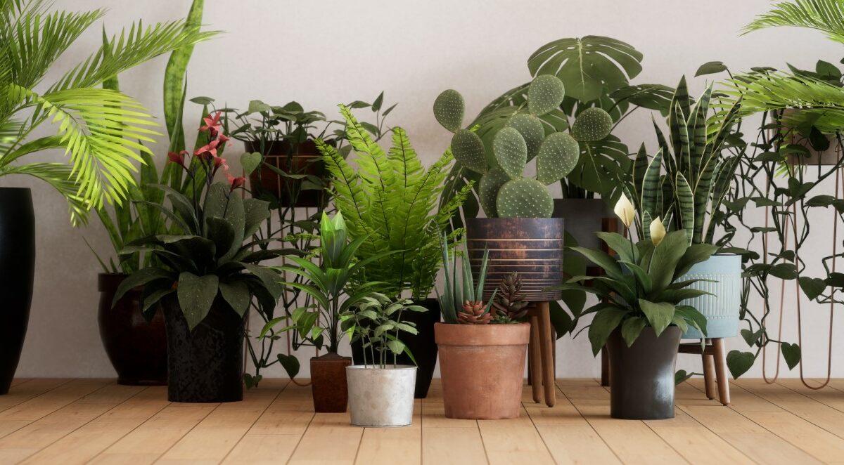 12 plantes vertes d’intérieur faciles d’entretien et increvables